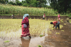 machhapuchhre-homestay-july-2019-gregor-krenker-24
