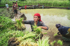 machhapuchhre-homestay-july-2019-gregor-krenker-27