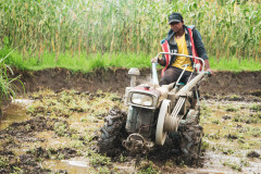 machhapuchhre-homestay-july-2019-gregor-krenker-30