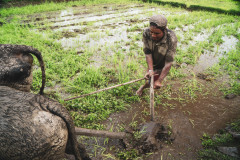machhapuchhre-homestay-july-2019-gregor-krenker-31