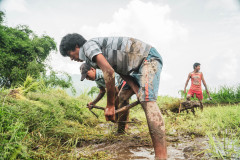machhapuchhre-homestay-july-2019-gregor-krenker-32
