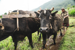 machhapuchhre-homestay-july-2019-gregor-krenker-33