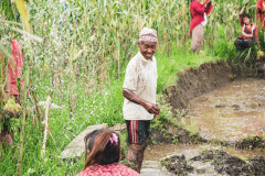 machhapuchhre-homestay-july-2019-gregor-krenker-35