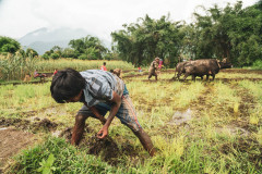 machhapuchhre-homestay-july-2019-gregor-krenker-38
